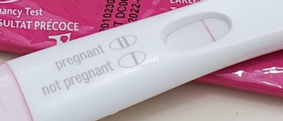 Pregnancy test showing results: "pregnant" and "not pregnant" options, with a faint line indicating a potential positive result. Relevant for family planning discussions.
